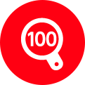 100項目